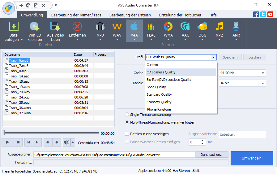 Workflow van de AVS Audio Converter