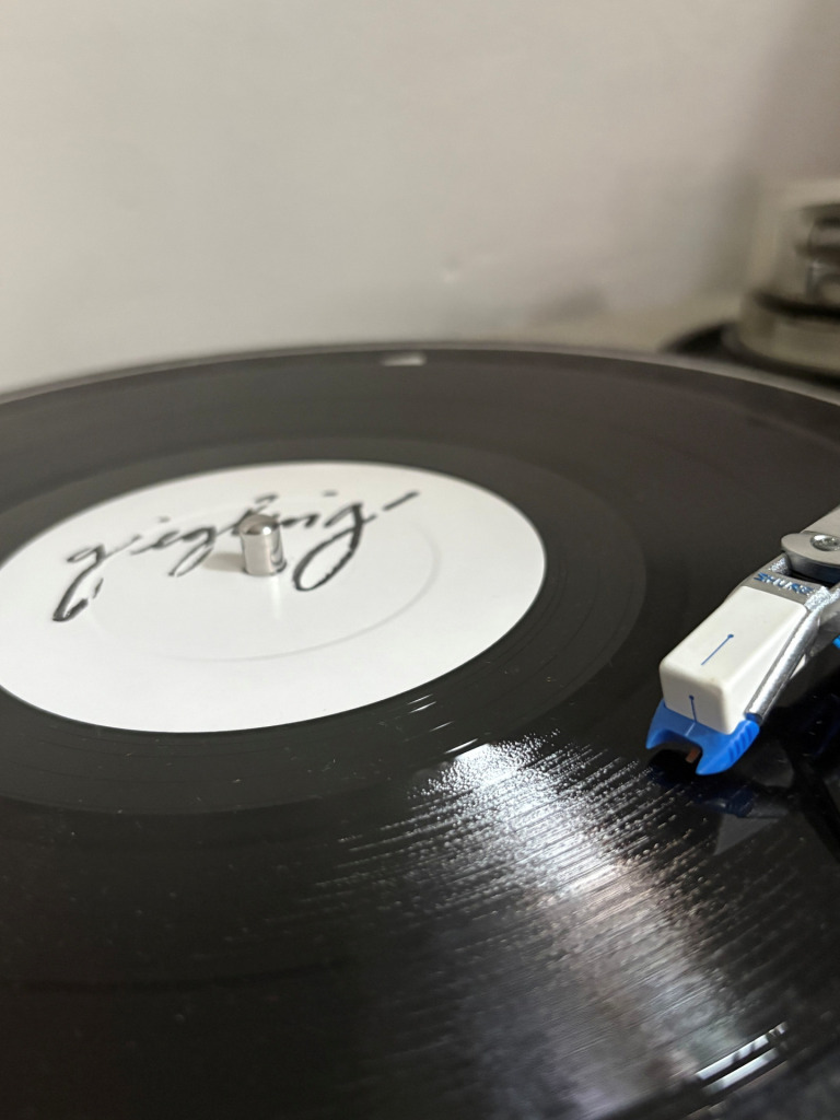 Naald in de binnenste groef van een vinylplaat